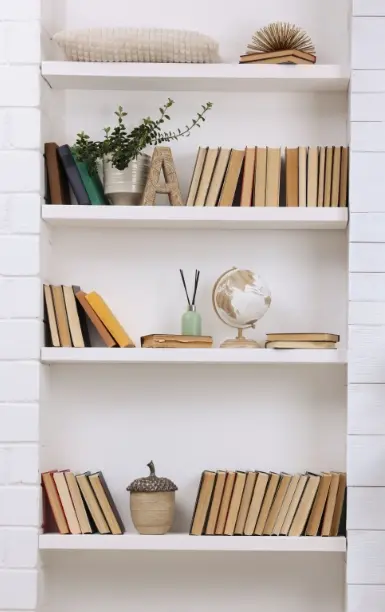 ranger une bibliothèque avec un home organiser